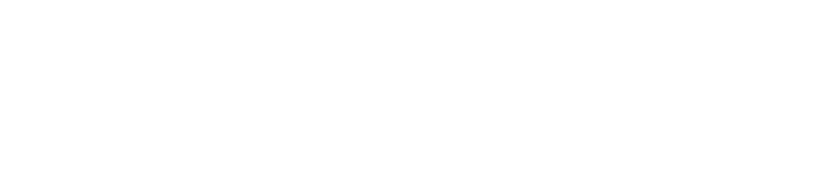 carahsoft